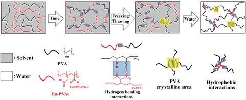 Five freeze-thaw cycles gave rise to the crosslinks behind the hydrogel's impressive properties