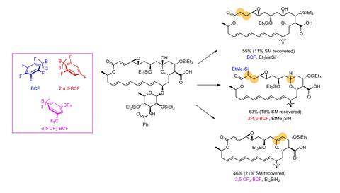 A scheme showing the modification of natural products with super-electrophilic silylium ions