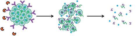 Condition responsive nanoparticles for managing infection and inflammation in keratitis