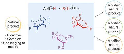 Lewis acid fluoroarylborane catalysts