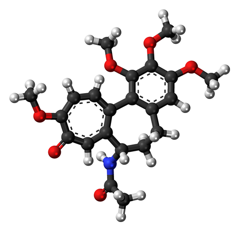 Ball-and-stick model of the colchicine molecule, a plant-based drug with various uses