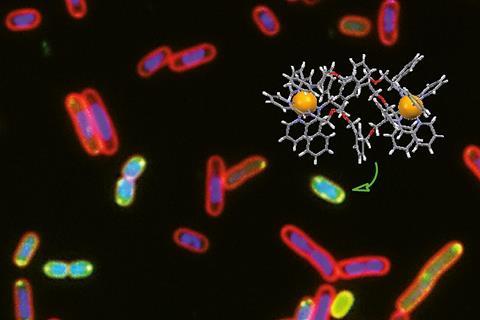 An image showing a metallohelice