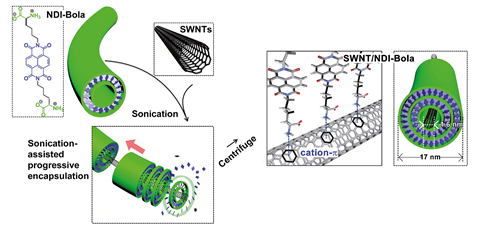 An image showing the assembly of SWNT/NDI-Bola nanotubes