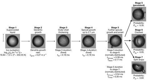 A detailed model of freezing in 40-µm supercooled water drops in vacuum, after homogeneous nucleation