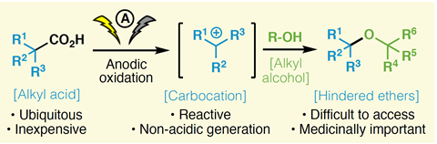 A scheme showing how electrochemical carbocation formation enables hindered ether synthesis