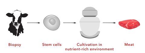 Artificial meat scheme