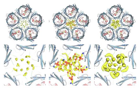 Molecular dynamics simulations showing how the bowl-shaped pentameric protein complex 'captures' lipid molecules