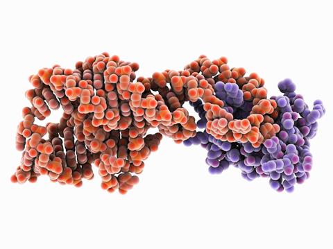 Hepatitis D rybozyme complex