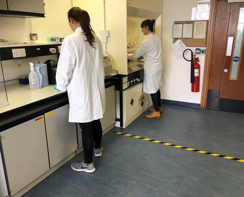 An image showing socially distanced lab mates