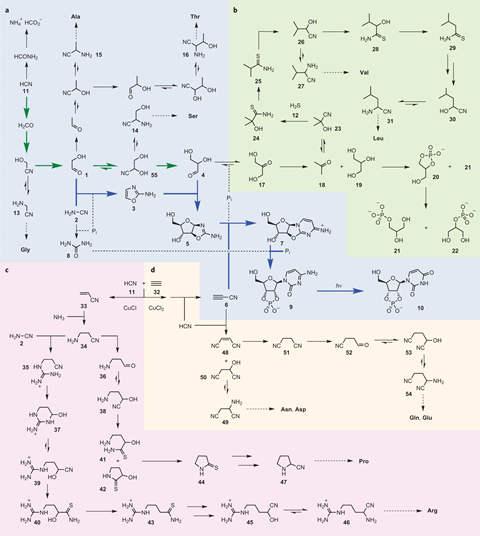 Reaction network that leads to RNA, protein and lipid precursors
