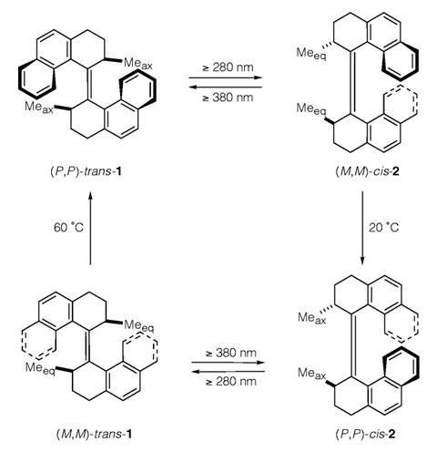 Scheme showing the molecular rotor the molecular rotor (3R,3′R)-(P,P)-trans-1,1′,2,2′,3,3′,4,4′-octahydro-3,3′-dimethyl-4,4′-biphenanthrylidene changing between its different isomers, driven by heat or light