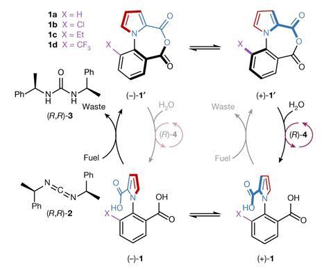 Scheme showing 1-phenylpyrrole 2,2′-dicarboxylic acid with its ratcheted motion driven by a chemical fuel