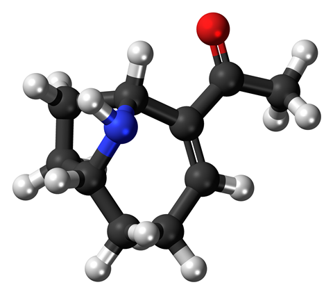 Ball-and-stick model of the very fast death factor molecule, also known as anatoxin-a, a toxin produced by cyanobacteria.