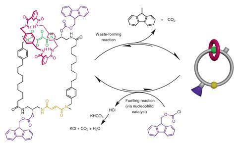 Chemical structure of the rotary motor and the chemical reactions involved in its operation. The motor comprises a benzylic amide macrocycle (magenta) and a track with two fumaramide binding sites (yellow, non-deuterated; green, deuterated for analytical purposes). The macrocycle randomly shuttles between the two fumaramide sites when its path is not blocked by Fmoc groups (purple). The fuelling reaction consumes the fuel (Fmoc-Cl) and attaches an Fmoc group to the track, and the waste-forming reaction removes the Fmoc group (allowing passage of the macrocycle) and generates waste species (dibenzofulvene and CO2). The fuelling reaction is catalysed by a pyridine-based nucleophilic catalyst