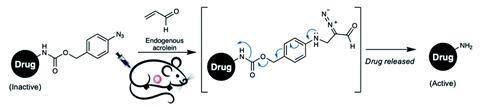 An image showing the drug release strategy