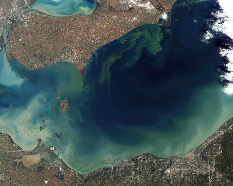 Toxic algae bloom in Lake Erie