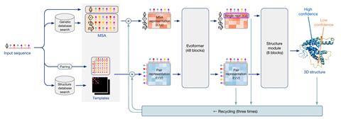 Flow chart showing the model architecture of AlphaFold