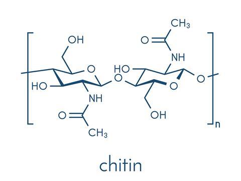 Chitin structure
