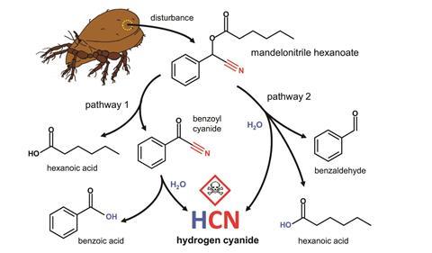 Mighty mite make HCN