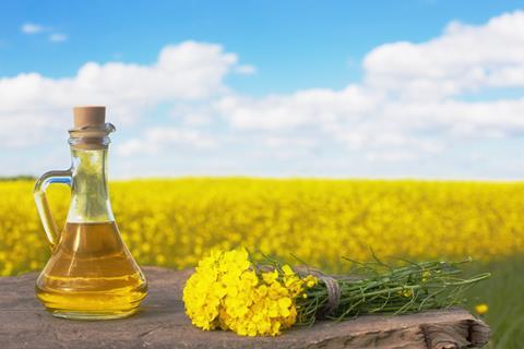 A bottle of rapeseed (canola) oil with flowering rapeseed