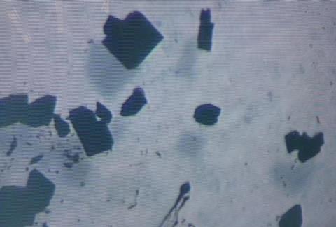 Photograph of X-ray diffraction quality single-crystals of Pu complex