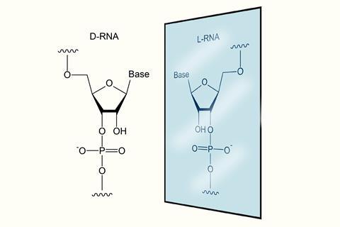 A D-RNA structure reflacted as an L-RNA structure in a mirror