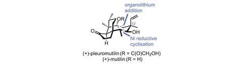 0817CW - Organic Matter - Figure 1