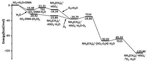 A graph showing the overall potential energy profiles for the hydrolysis of SO2 promoted by DMA and oxidized by O3