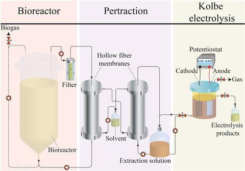 Schematic for biomass to fuel process