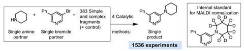 Fragment additive C N coupling profiling