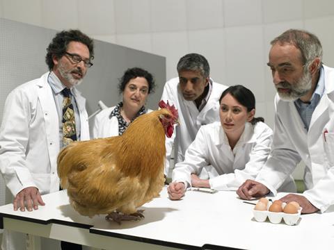Scientists crowding around a chicken