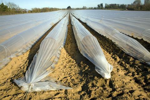 Crops covered in plastic