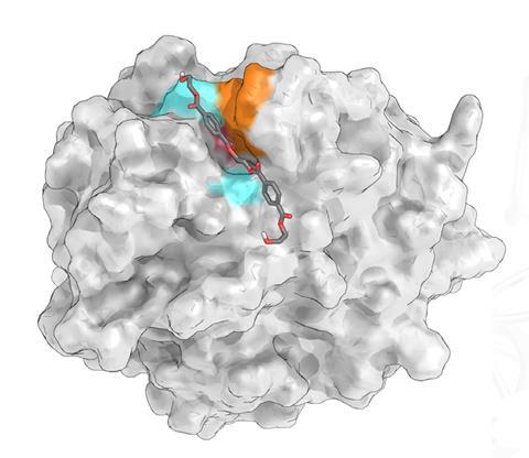 Plastic-eating enzyme