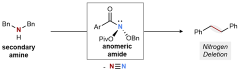 A scheme showing the nitrogen deletion reaction