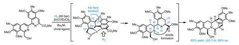 A scheme showing the synthesis of Jorunnamycin 