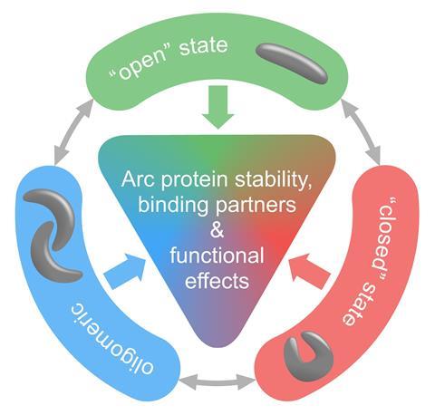 An image showing the model of Arc function