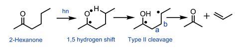 A scheme showing the type II cleavage