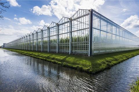 Large greenhouse