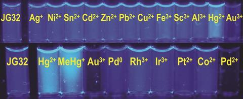 fluorescence changes in the presence of different metal ions