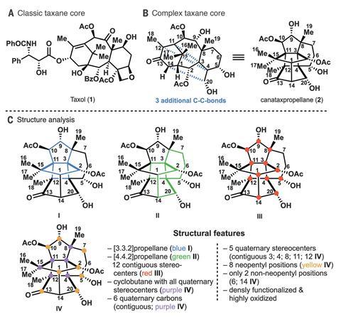 Images showing a comparison of the Taxol core with the complex taxane core and key features of (–)-canataxpropellane (2)