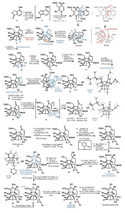 Schemes showing the total synthesis of (–)-canataxpropellane