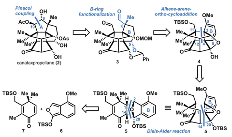 An image showing the retrosynthetic analysis of (–)-canataxpropellane