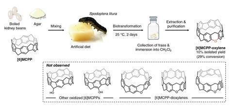 A process diagram showing a caterpillar eating an artificial diet to produce an MCPP-oxylene