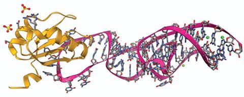 CW0316_Ribozymes_F2_630m