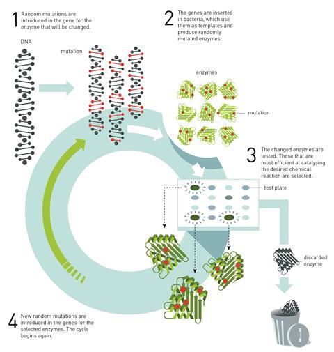 Nobel Prize in Chemistry 2018, enzyme evolution diagram