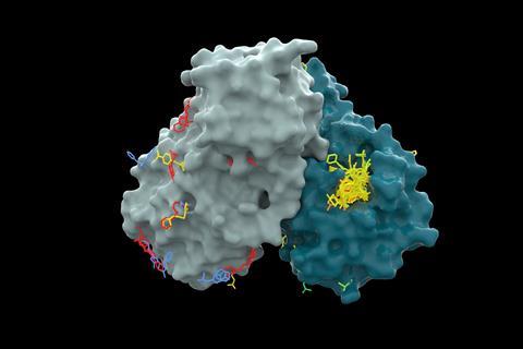Molecular view of the Sars-CoV-2 Virus main protease showing where predicted antiviral molecules bind
