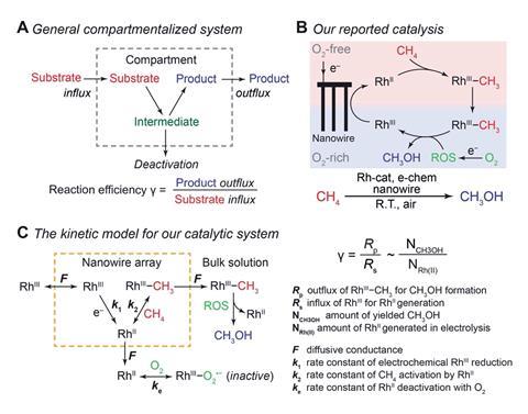 An image showing the reaction efficiency γ in compartmentalized cascade reactions