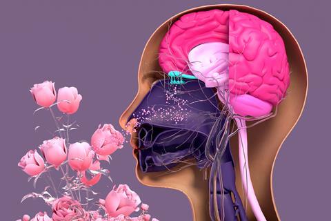 Olfactory system