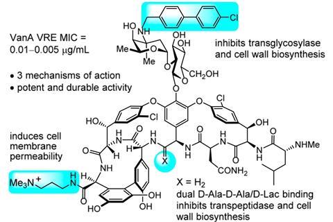 Vancomycin