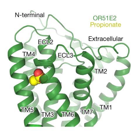 Binding site